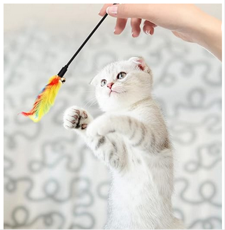 Jouets à Plumes pour Chat