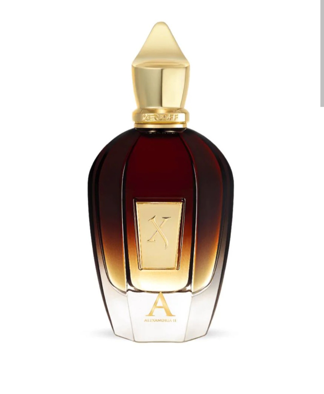 xerjof ALEXANDRIA 2