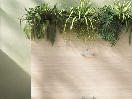 Armoire basse pour dossiers suspendus avec bac à plantes ALLY