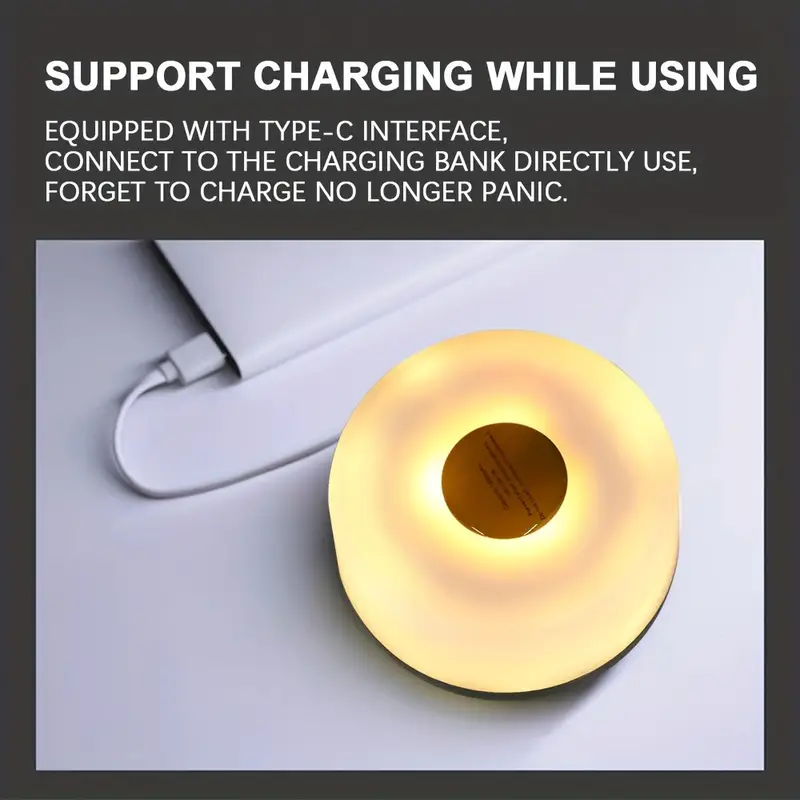 Guirlande Lumineuse Solaire & USB : L