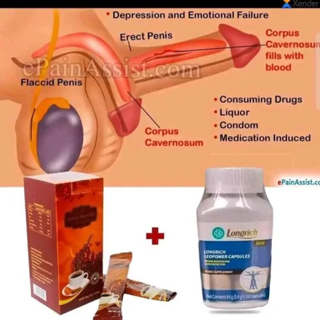 CAFÉ CORDYCEPS LONGRICH