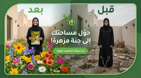 علبة البذور الطبيعية - مجموعة بذور صحية متكاملة