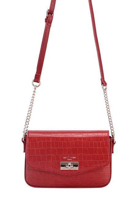 Sac a main David Jones 8