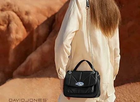 Sac a main David Jones 6