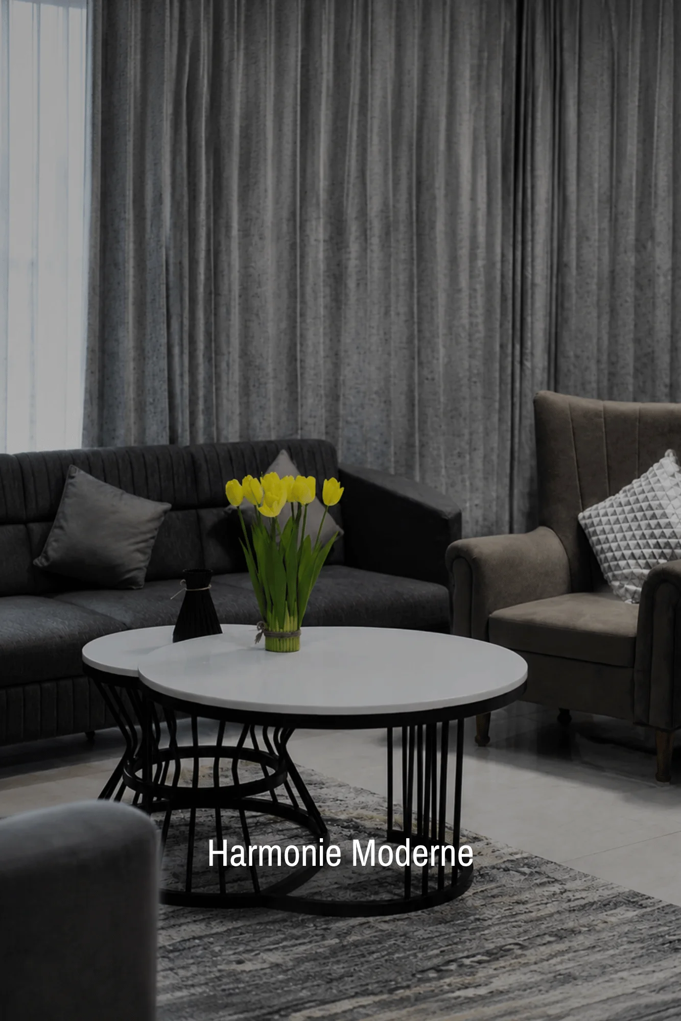 slider-image