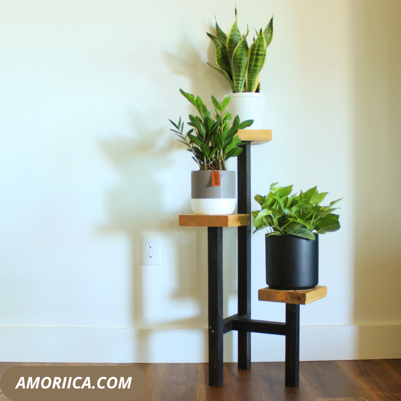 🌿 Support de Plantes en Bois