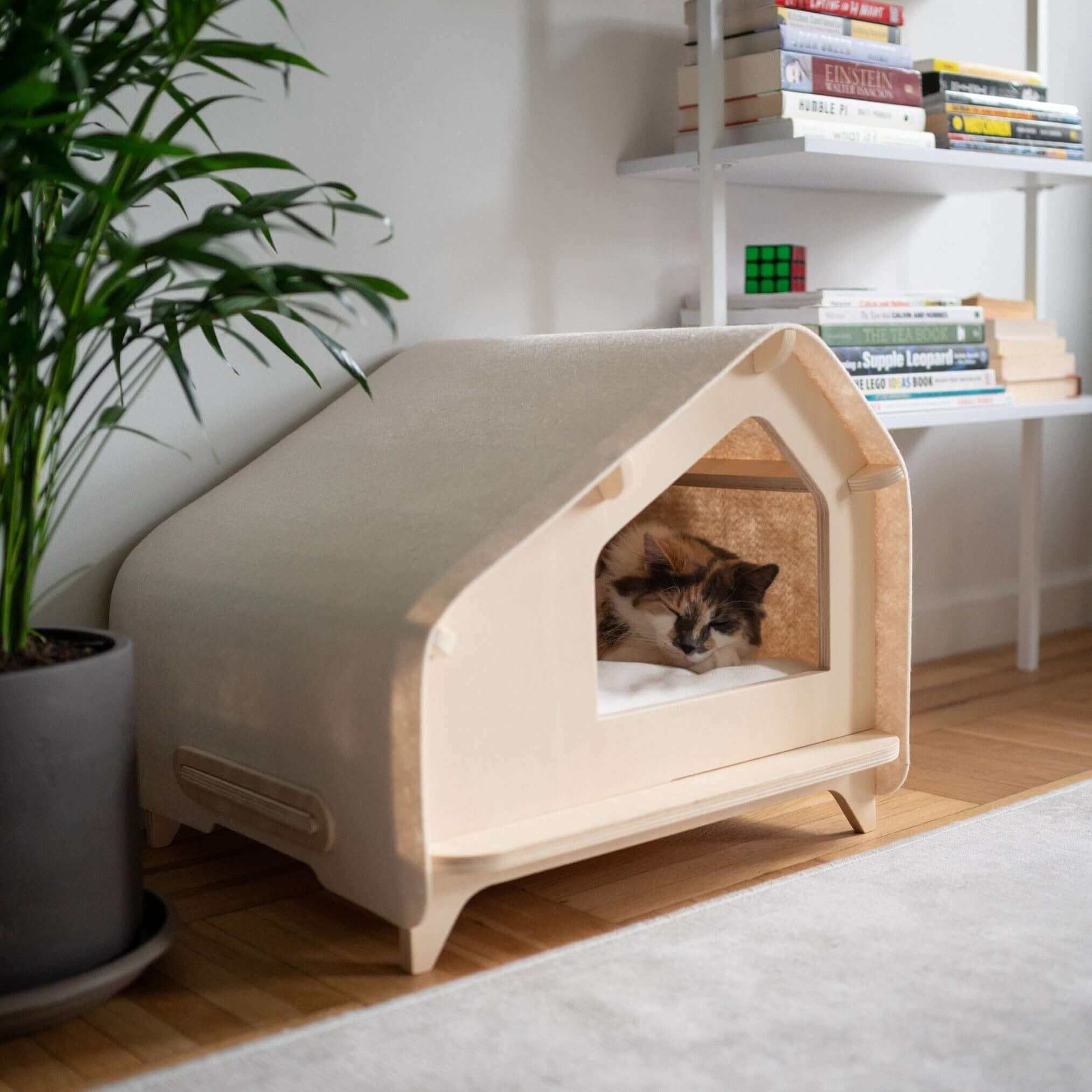 Luxe Cabin chats et petits chiens