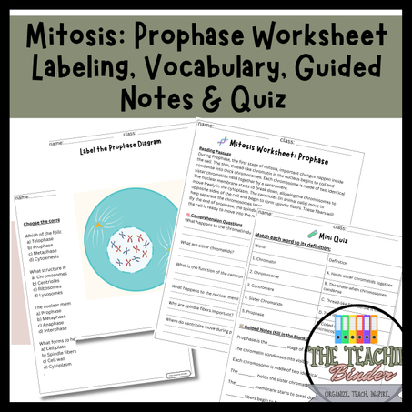 Mitosis:Prophase Worksheet Labeling, Vocabulary, Guided Notes & Quiz ms science