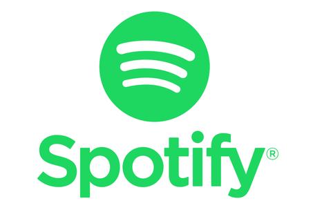 Spotify 6 month