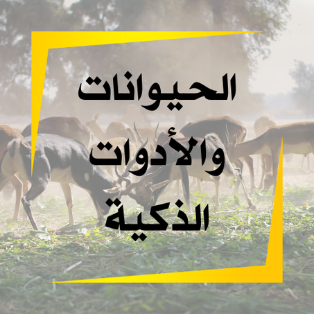 الحيوانات والأدوات الذكية