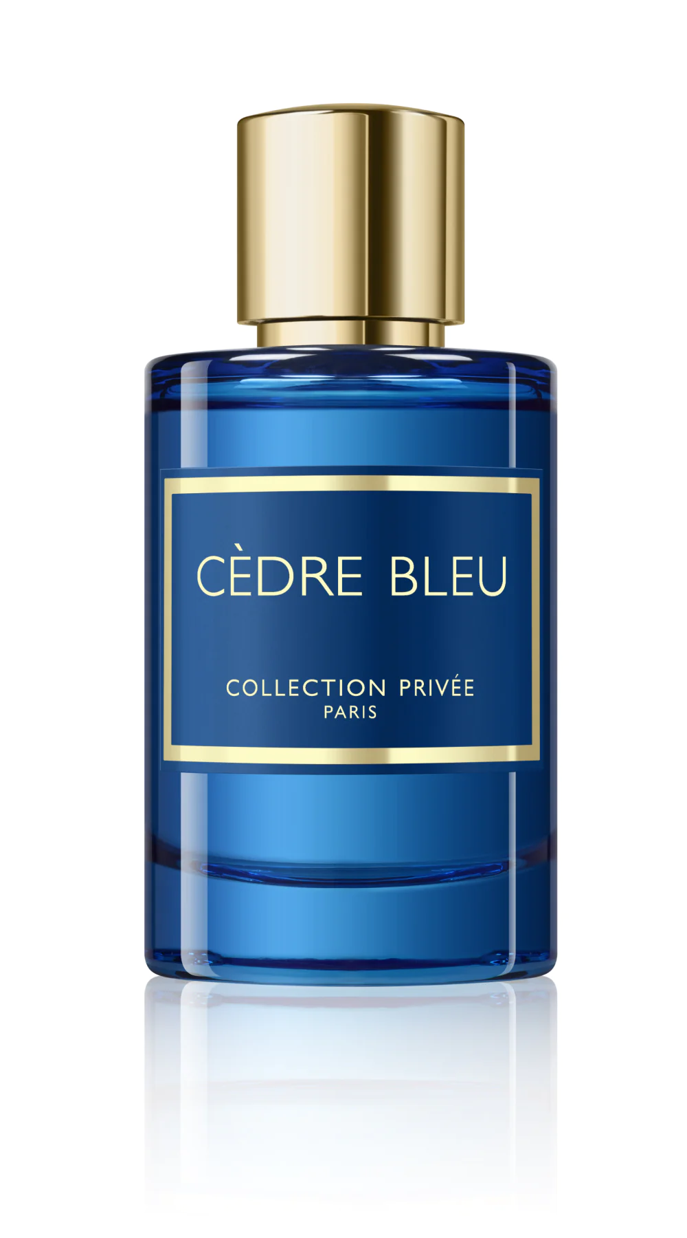 Cedre Bleu
