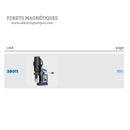 FORETS MAGNÉTIQUES