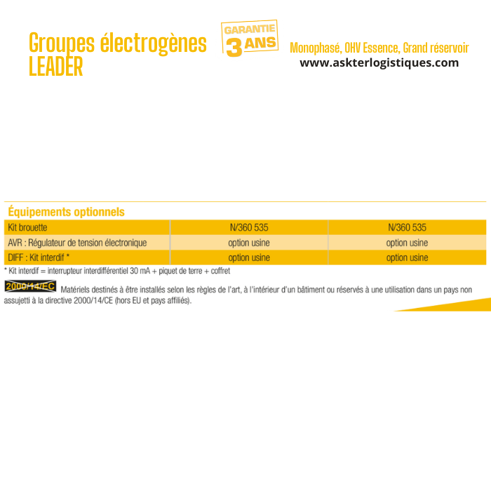 Groupes électrogènes LEADER