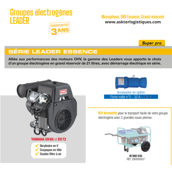 Groupes électrogènes LEADER