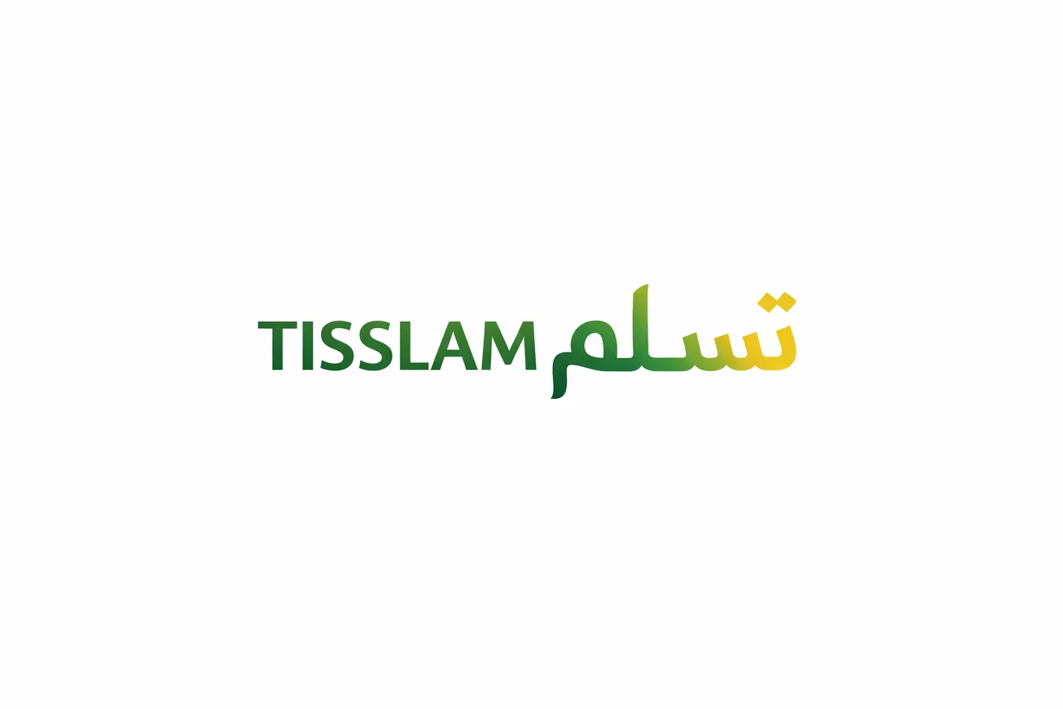 TISSLAM