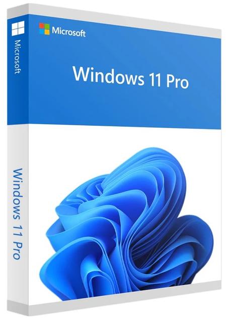 Microsoft Windows 11 Professional Key licence