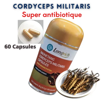 Cordyceps Militaris Longrich