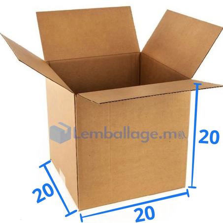 Carton simple 20x20x20