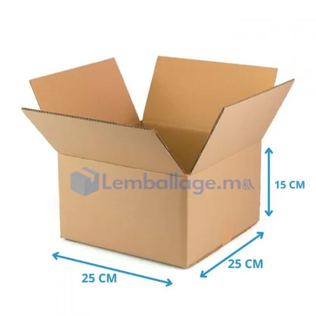 Carton simple 25x25x15