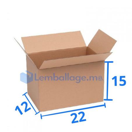 Carton simple 22x12x15