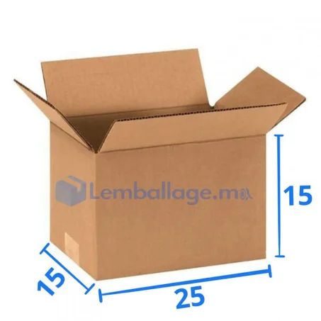 Carton simple 25x15x15