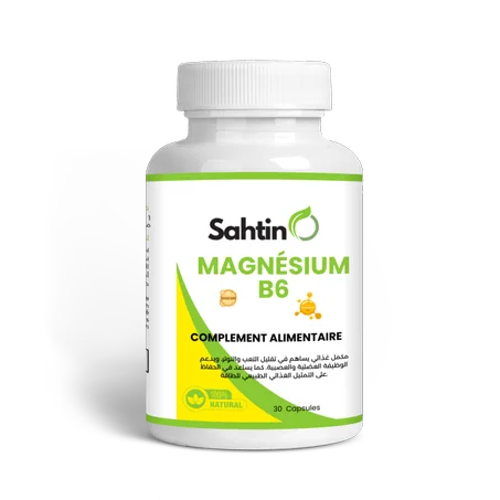 megnesieum-b6