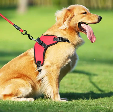 New Soft Adjustable Harness Pet Large Dog Walk Out Harness Vest for Medium Dog Chest Strap Dog Harness Pets Accessories