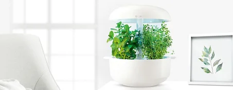 Home & Garden, Appliance