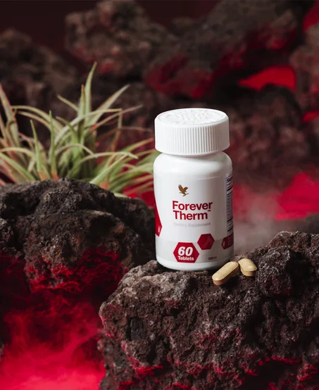 فوريفر تيرم