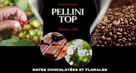 الفئة الافتراضية - جميع الاصناف - toutes catégories