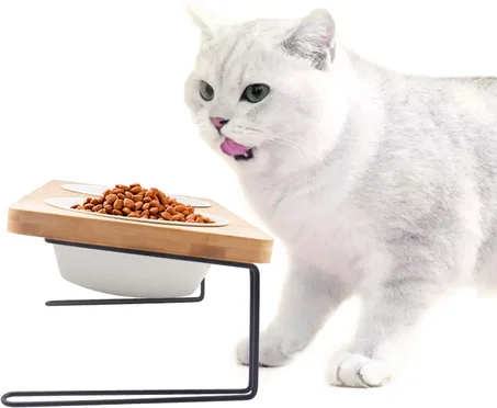 Elevated Cat Ceramic Bowls