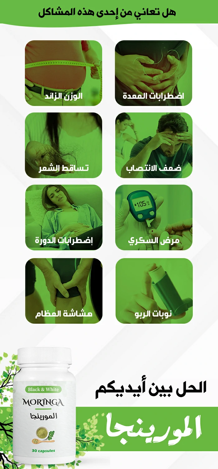 stores/b021a0877629b4bf5d354f4958b1a092/products/cv0TFgTJzpb3ApjEkp4Z8qIjus3e2gVCzoroapNL.webp