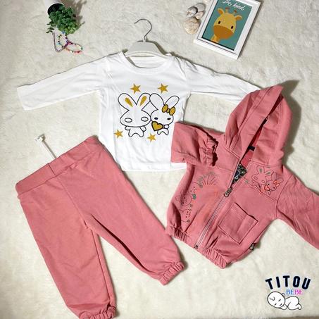 Ensemble 3 PCs - Lapino