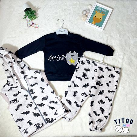 Ensemble 3 PCs - Dinosaur