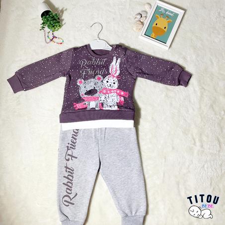 Ensemble 2 PCs - Rabbit Friends