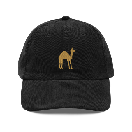 Pensées d'un voyageur immobile