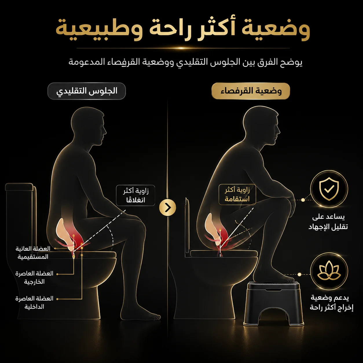 كرسي القرفصاء الصحي