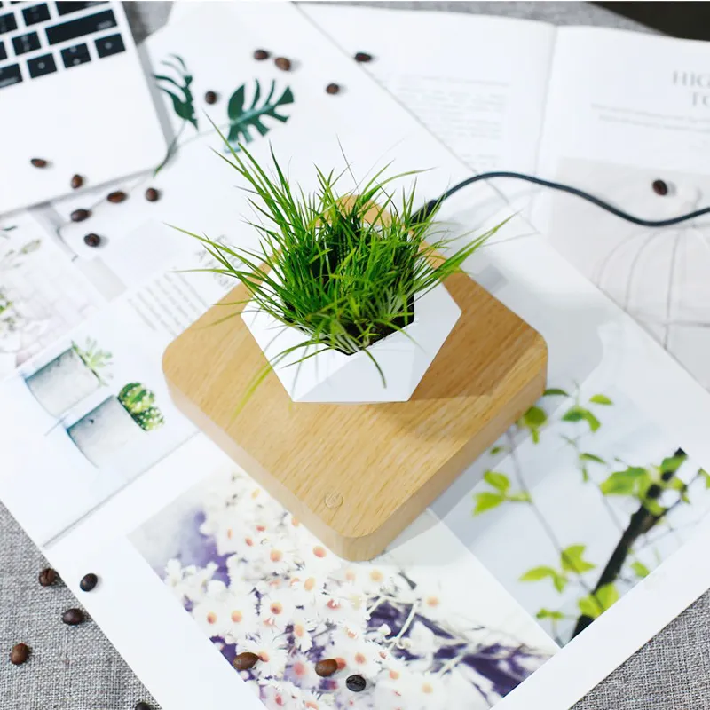 Schwebender Luft-Bonsai-Topf: Rotations-Blumentopf mit magnetischer Aufhängung für eine einzigartige Topfpflanzen-Dekoration im Heim- oder Schreibtischbereich