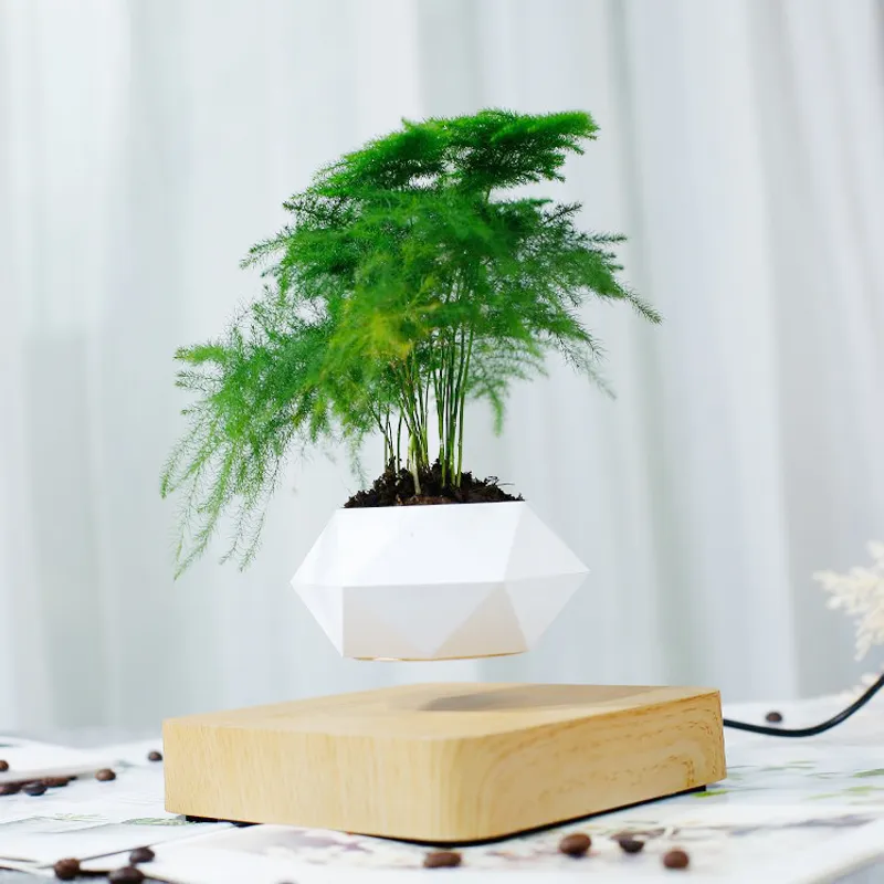 Schwebender Luft-Bonsai-Topf: Rotations-Blumentopf mit magnetischer Aufhängung für eine einzigartige Topfpflanzen-Dekoration im Heim- oder Schreibtischbereich