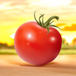 stores/b13f6ab27cb55138fb59daec43643c0d/products/S2Bg8dJqnc3QqGxdwmeXD52Gf5XDEfP8tc95OelG.png