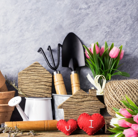 المنزل والحديقة