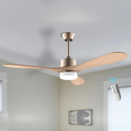 Ventilateur de plafond EnergySilence Aero 5290 Golden Pro