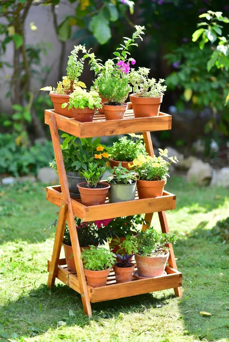 رف النباتات الخشبي