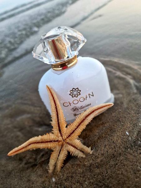 Parfum Chogan N°053