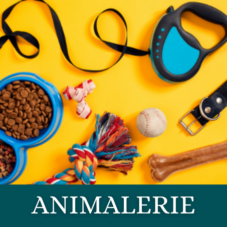 اكسسوارات الحيوانات