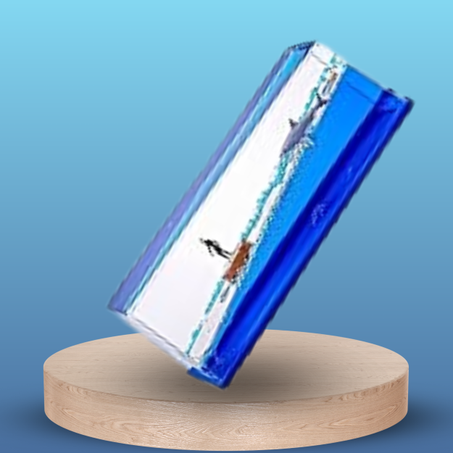 رحلة بحرية إبداعية