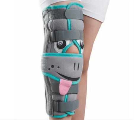 Immobilisateur de genou