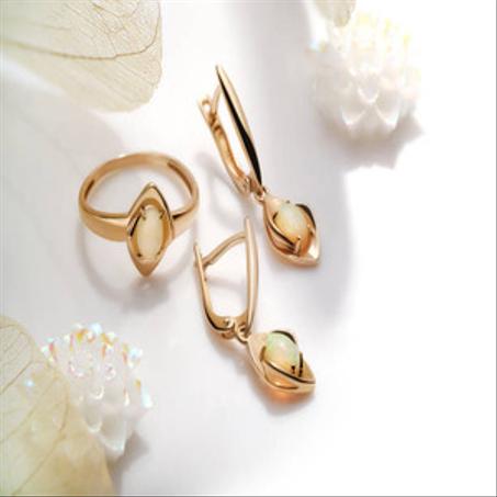 الأكسسورات