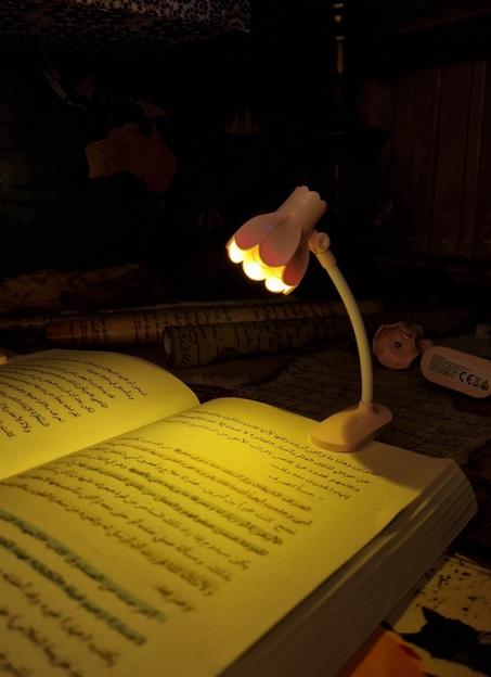 نور القراءة 😍