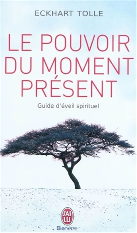 Le pouvoir du moment présent: guide d'éveil spirituel